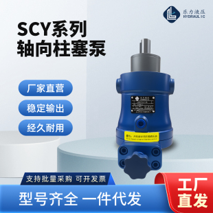 250SCY14 启东柱塞泵10 1B轴向柱塞泵液压油泵 160 100