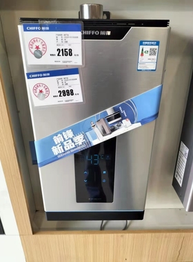 前锋JSQ24/25/30-X318/X315天然气燃气热水器强排智能恒温13/16升