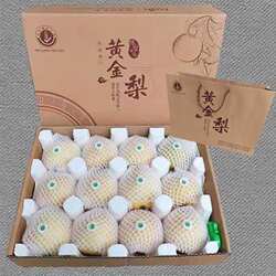 【顺丰秒发】南阳正宗博望坡黄金梨梨原生态新鲜孕妇水果产地现摘