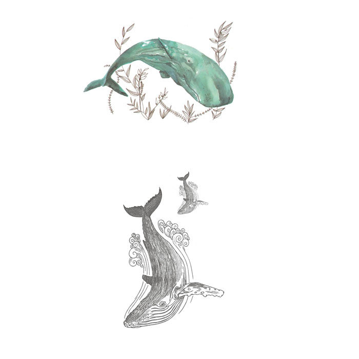 喵小姐纹身贴 鲸鱼海豚防水男女持久韩国可爱清新仿真锁骨手腕贴