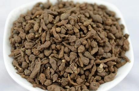 甘南藏区迭部特产高原野生蕨麻人参果美味熬粥煲稀饭500g100元