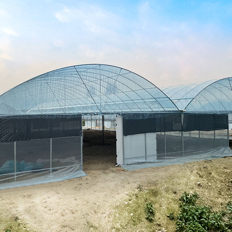 椭圆管热镀锌养鸡鸭鹅猪牛菌菇水产养殖大棚钢管骨架蔬菜种植花卉