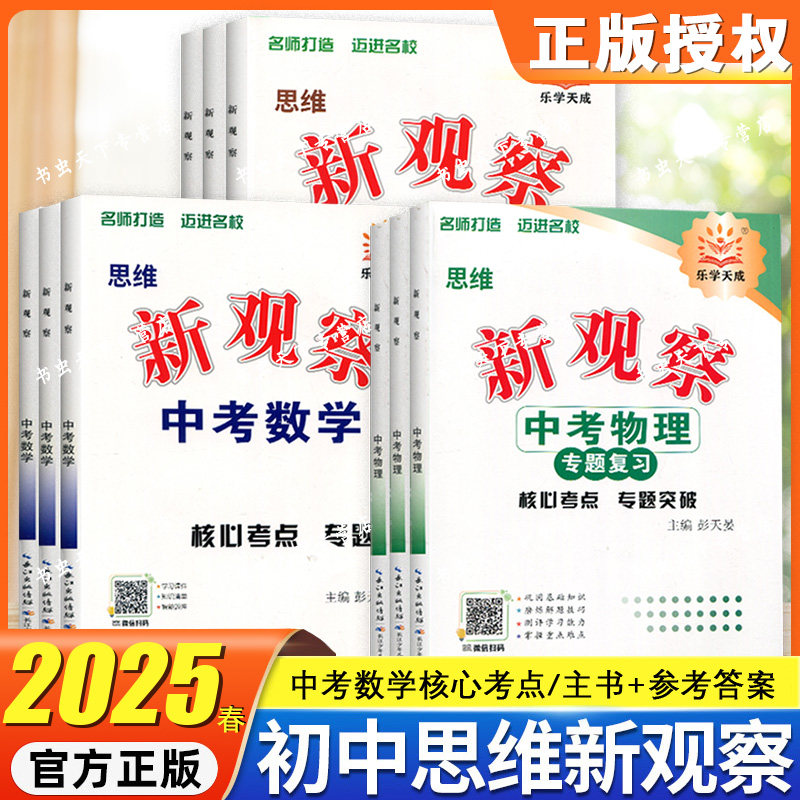 2025新观察中考物理数学专题训练