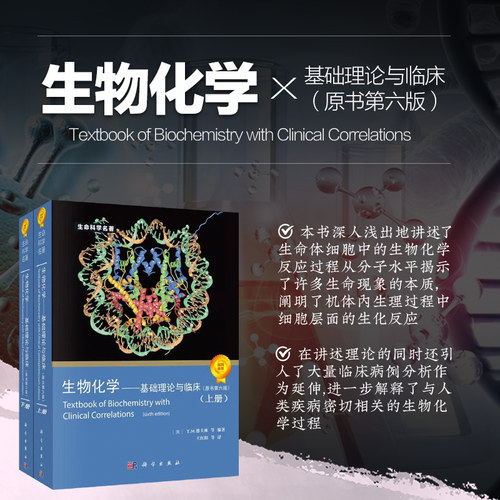 [美] 德夫林 ；王红阳