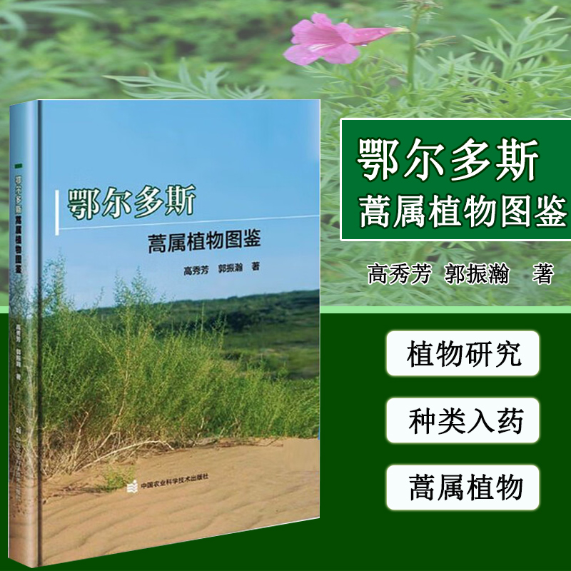 鄂尔多斯蒿属植物图鉴 植株全貌 叶片细节 花果特征 附形态鉴别要点与生长环境 药用价值 生态作用及资源分布 蒿属的采收加工要点