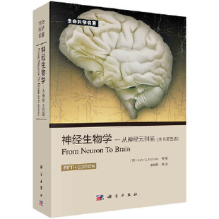 神经生物学：从神经元 原书第5版 到脑