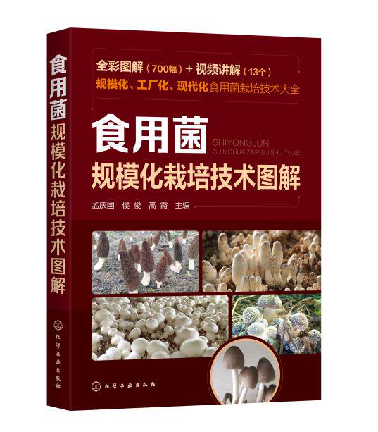 正版 食用菌规模化栽培技术图解 鸡腿菇 大球盖菇 食用菌工厂 化学工业出版社 种植业 孟庆国、侯俊、高霞  农业基础科学专业科技
