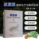 菘蓝 板蓝根水肥高效利用关键技术 植物学分类地位与分布 真伪鉴别 病虫害防治技术 板蓝根药材和饮片 板蓝根药材生产与现代应用