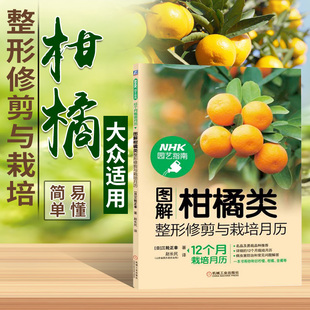 图解柑橘类整形修剪与栽培月历三轮正幸柑橘种植技术书果树修剪书籍果树嫁接技术图解书柑橘与橙子柑橘学柑橘种植管理技术柑橘书籍