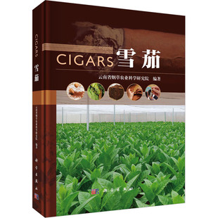 共性技术及产品销售和雪茄文化 分级方法 雪茄生产和加工过程 雪茄烟叶栽培技术 雪茄 生产概况 雪茄相关定义 基本概况 发展历史
