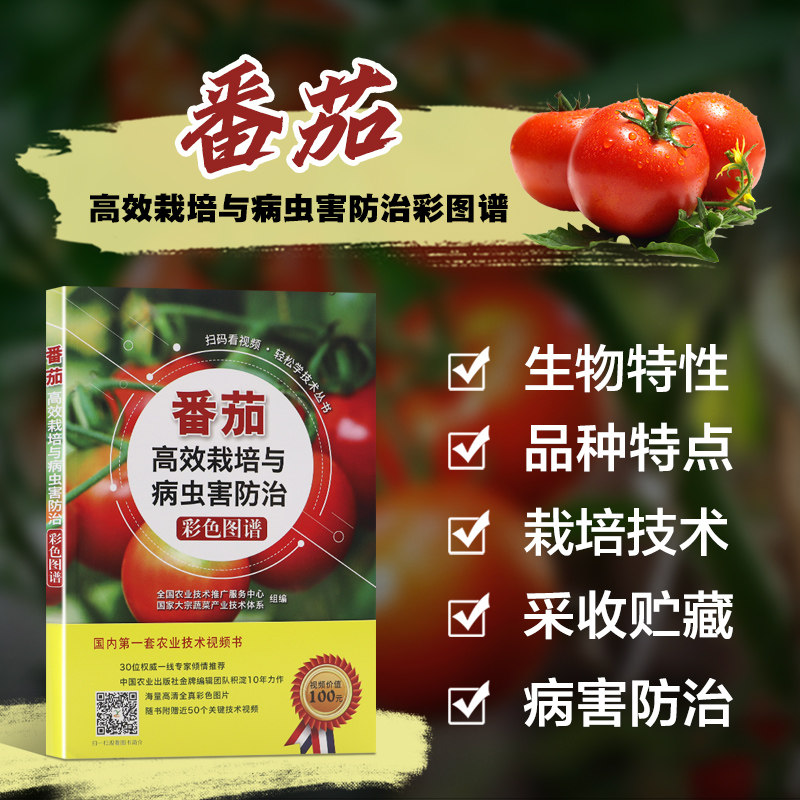 番茄高效栽培与病虫害防治彩色图谱 种番茄种植书籍 种西红柿种植书籍 番茄栽培技术 大棚蔬菜种植 蔬菜栽培 农业大宗蔬菜产业技术