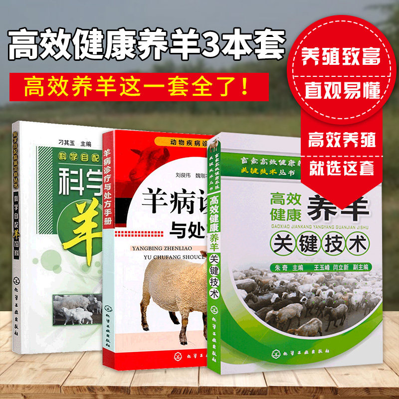 养羊技术书籍高效健康养羊关键技术+羊病诊疗与处方手册+科学自配羊饲料养羊书籍大全科学生态养羊技术大全羊病快速诊断防治肉羊书
