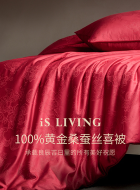 高端结婚蚕丝被乔迁送礼自用佳品四季款黄金桑蚕丝婚庆红色喜被芯