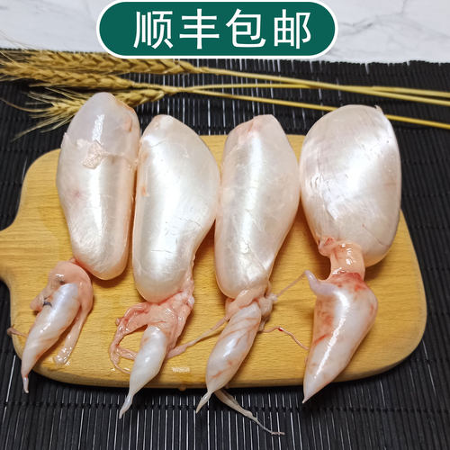 白莲鱼泡Q弹高蛋白新鲜现杀