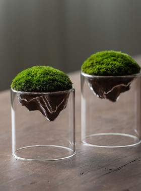 苔藓茶桌办公室趣味美观易养盆栽