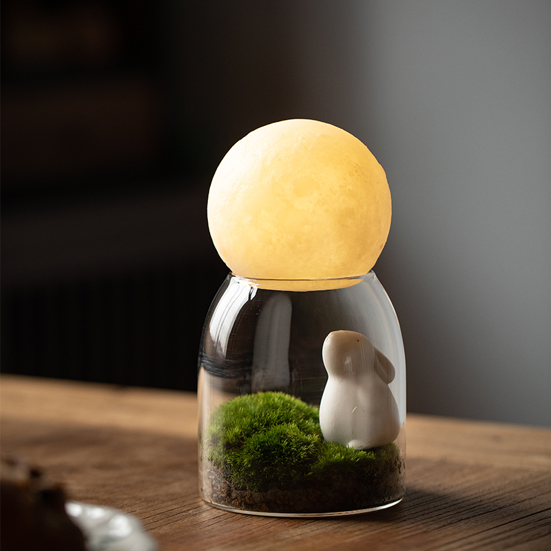 望月兔苔藓微景观室内桌面礼物