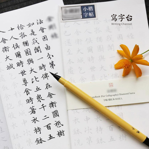 此时此地 软笔毛笔字帖小楷书法入门描红成年男女生抄经系列金刚