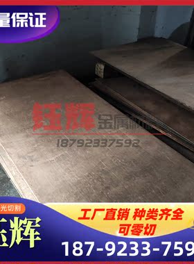 C53200 C53400 C54400 C5341 C5441板棒 磷青铜 锡青铜 锡磷青铜