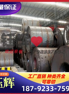 GCuSn10 铸造锡青铜 C84400 铜板 GCuSn10P 圆钢 铜管 C83300铜套