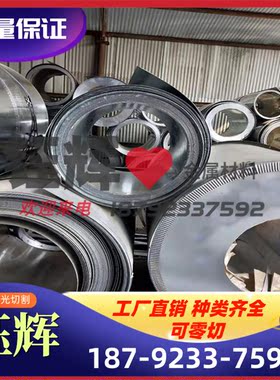 2.0572黄铜 C48600 CW711R 铜板 CAC304 铜套 CAC301 C46400 铜棒