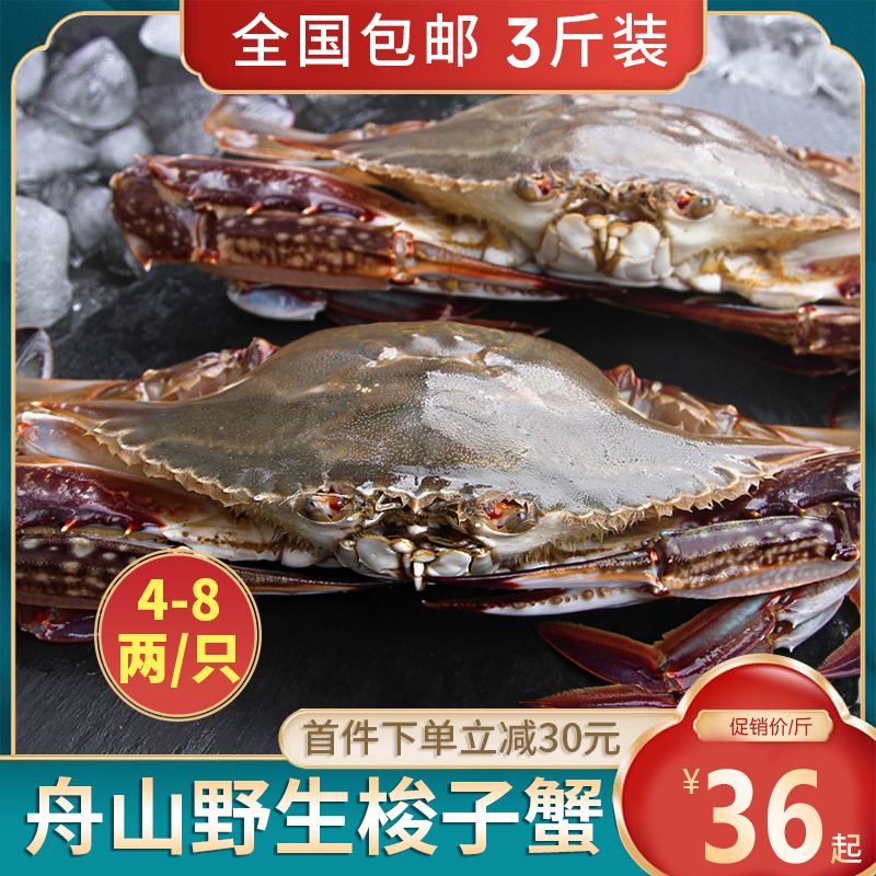 舟山梭子蟹冷冻速冻炒年糕新鲜大3-10斤宁波海鲜野生飞蟹海蟹螃蟹