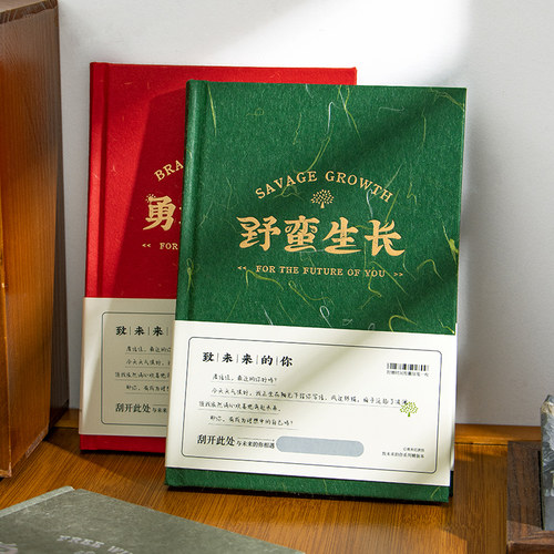 青禾纪高颜值硬壳手账本日记本特价捡漏精致简约文艺笔记本本子