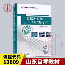 备考2024 全新正版 山东自考教材 13009 数据库原理与技术 数据库原理与开发技术 艾小伟 2022年版 机械工业出版社 9787111716952