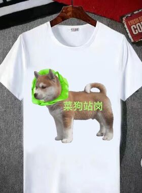 夏季2025新款短袖t恤学生恶搞站岗柴犬Cheems狗子衣服男女情侣T恤