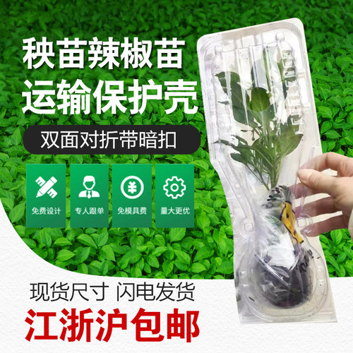 辣椒秧苗打包盒幼苗运输保护泡壳