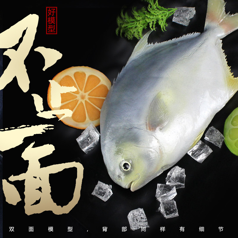 仿真金昌鱼模型银鲳鱼镜鱼模具仿真海鲜模型水产道具鱼海洋博物馆