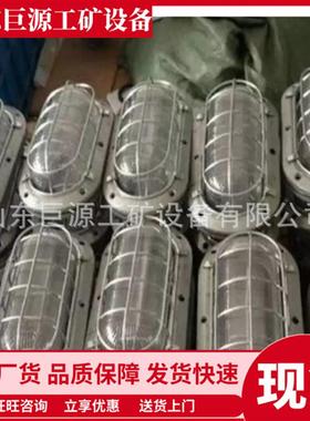 矿用支架灯 光率时间长DJC45/127L(A)矿用隔爆兼本安型LED支架灯