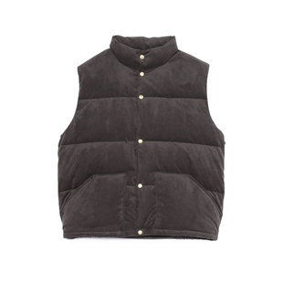 TNF Leather Field Sierra Vest 25AW 北面紫标光电子羽绒马甲