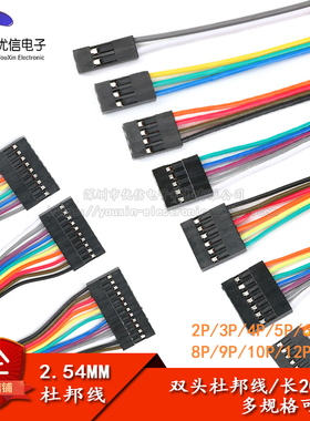 2P/3P/4P/5P/6P/7P/8P/9P/10P/12P/20P 双头杜邦2.54mm彩排线