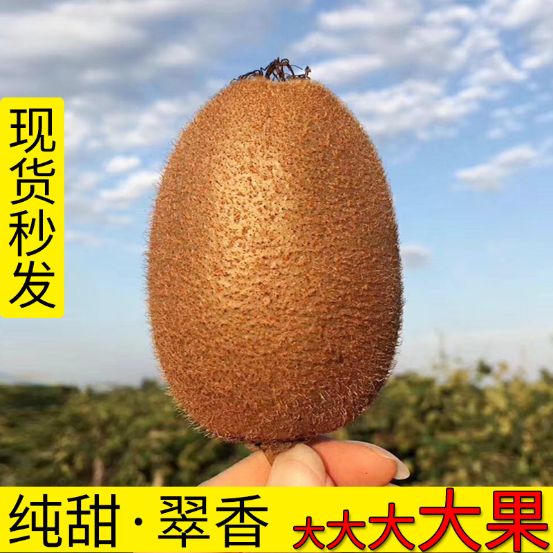 周至猕猴桃翠香整箱大大果120-150g新鲜孕妇水果5斤包邮纯甜脆香