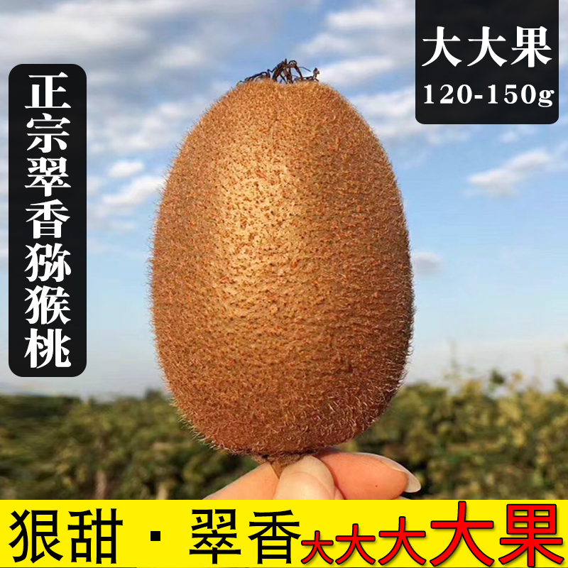 正宗周至猕猴桃翠香整箱大大果120-150g新鲜孕妇水果5斤包邮脆香