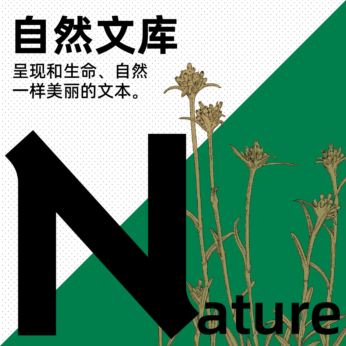 轻读文库N文库【可选】一个野生动物向导的非洲大草原观察笔记 就在身边的自然科学/自然观察图鉴 就在身边的奇妙鸟巢 自然科普图片