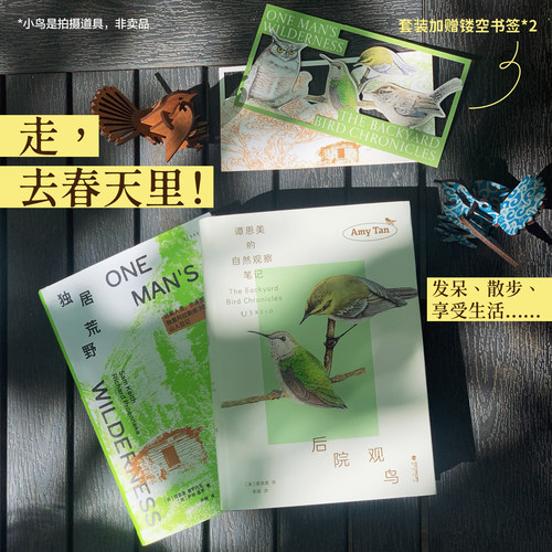 建造木屋、种菜、打猎、自给自足