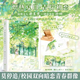 借夏天来临的名义 莫停追著 校园双向暗恋青春群像甜文言情小说实体书