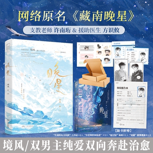 晚星 境风著 双男主都市纯爱双向奔赴温馨治愈小说实体书 支教老师& 援助医生