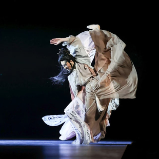 表演舞蹈比赛考试演出服 飘逸艺考舞蹈服装 狂草古典舞剧目男款 长款