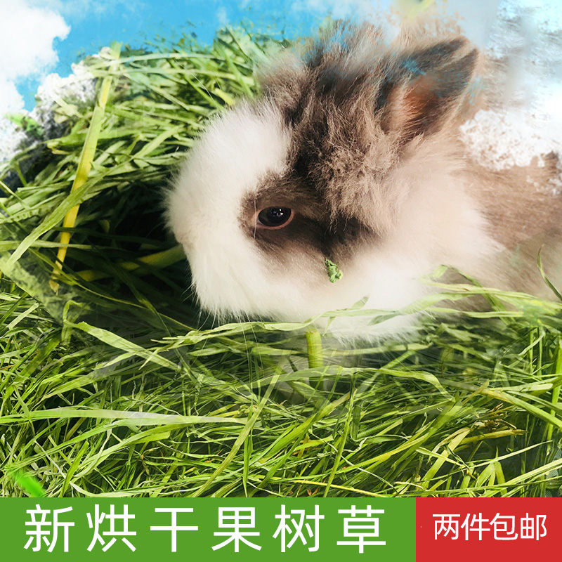 果树草2024年果树草干草250