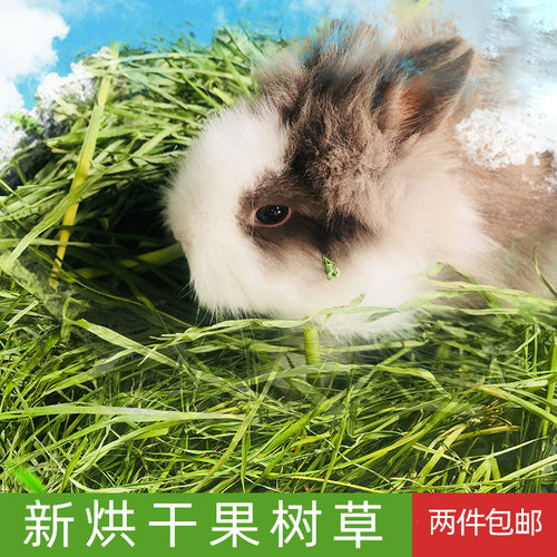 果树草2024年果树草干草250