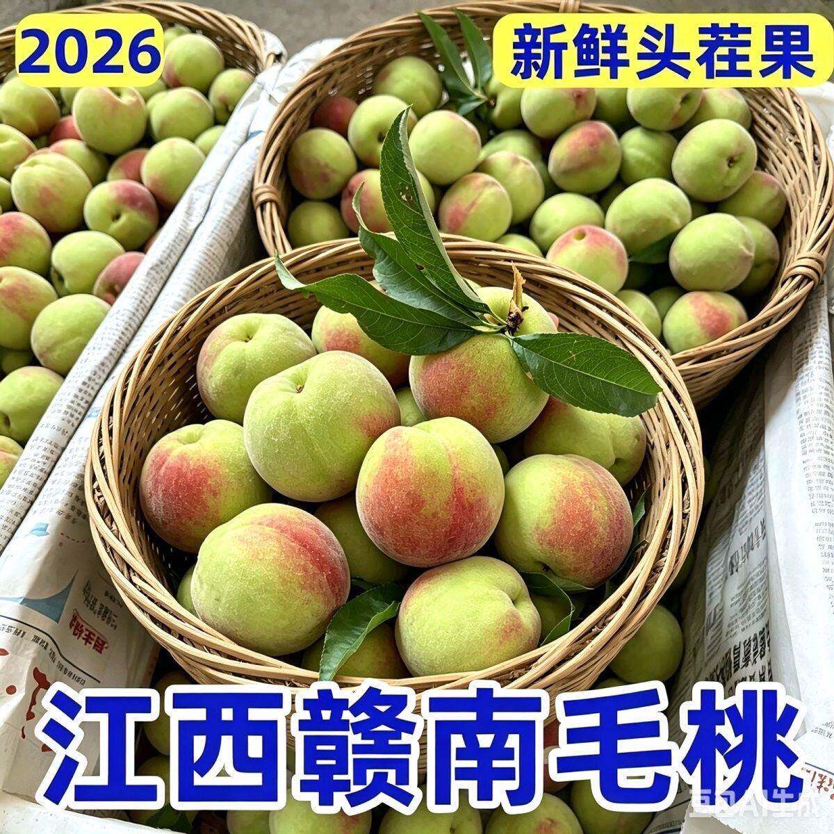 新鲜毛桃江西赣南脆甜桃农家自种现摘新鲜毛桃脆甜桃非鹰嘴桃