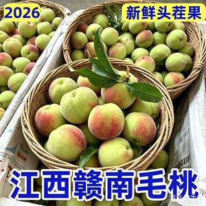 新鲜毛桃江西赣南脆甜桃农家自种现摘新鲜毛桃脆甜桃非鹰嘴桃