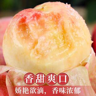 应季现摘水蜜桃新鲜水果软甜多汁露天无公害顺丰(5月28开园首发)