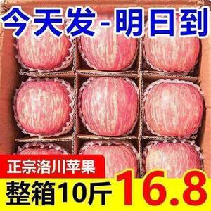 正宗陕西洛川苹果水果新鲜当季整箱红富士冰糖心一级脆甜9斤包邮