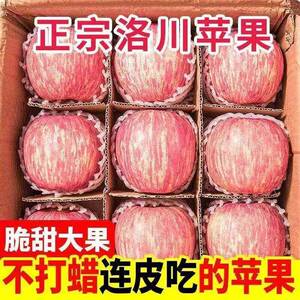 正宗陕西洛川苹果水果新鲜当季整箱红富士冰糖心一级脆甜10包邮斤