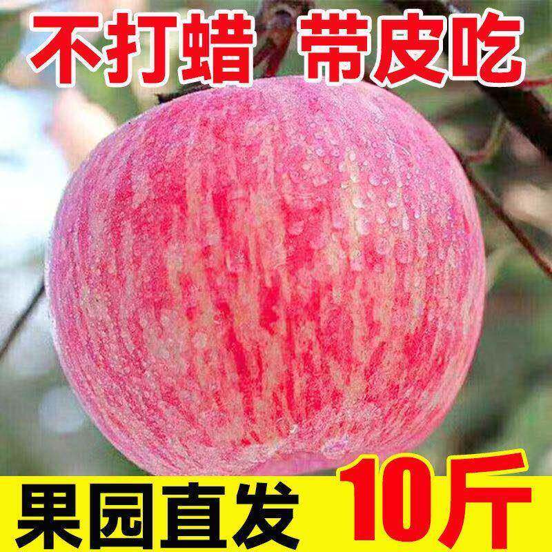 陕西红富士苹果10斤新鲜水果当季脆甜冰糖心膜袋丑苹果不打蜡