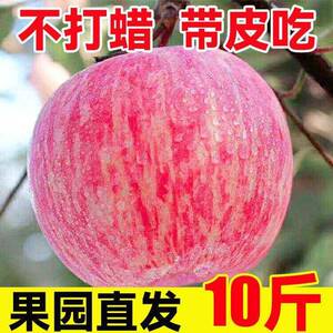 当季陕西红富士冰糖心脆甜苹果