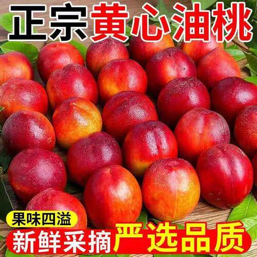 黄心油桃5斤大桃子水果新鲜当季整箱包邮应季水密桃孕妇蜜脆桃